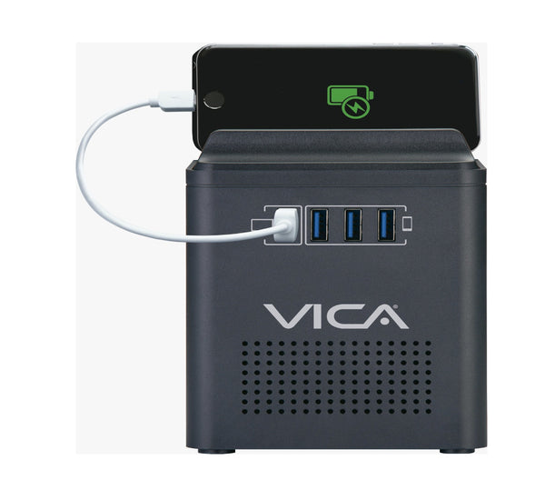 Regulador electrónico de voltaje Connect 800